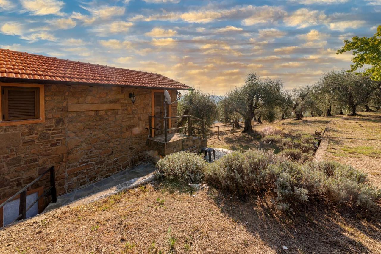 דולצ'אקווה Casetta Maduneta Immersa In Un Oliveto מראה חיצוני תמונה