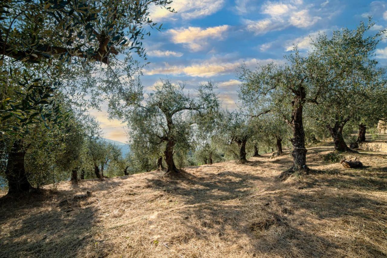 דולצ'אקווה Casetta Maduneta Immersa In Un Oliveto מראה חיצוני תמונה