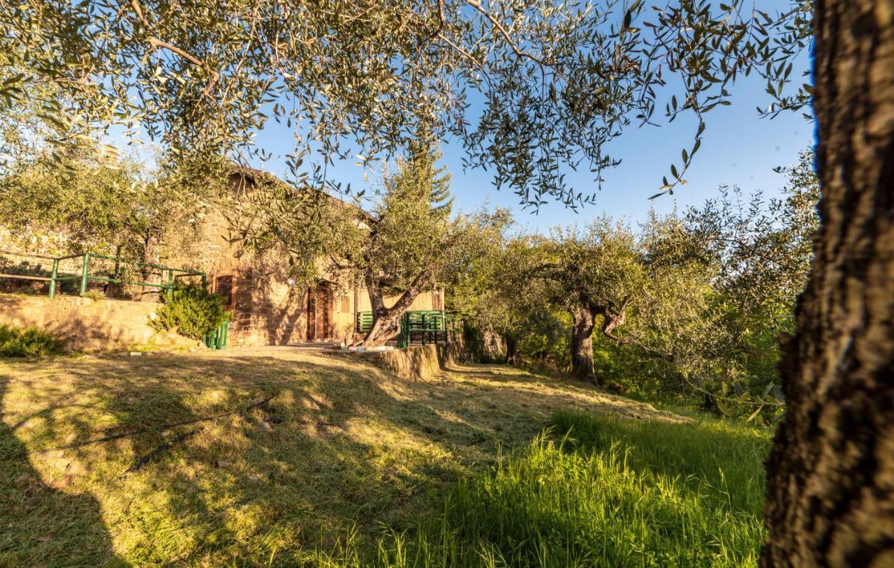 דולצ'אקווה Casetta Maduneta Immersa In Un Oliveto מראה חיצוני תמונה