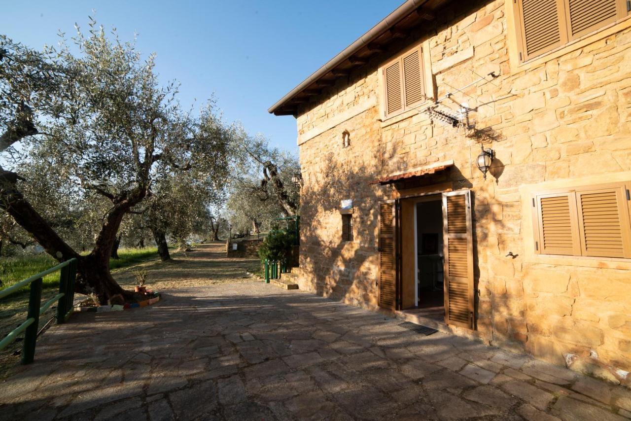 דולצ'אקווה Casetta Maduneta Immersa In Un Oliveto מראה חיצוני תמונה